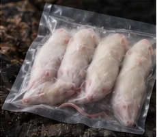 frozen rat feeder